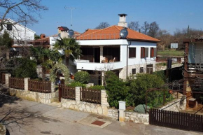 Apartment Alenka, Novigrad